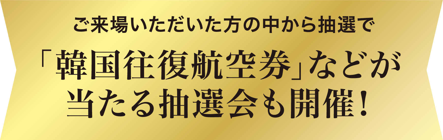 ご来場いただいた方の中から抽選で「韓国往復航空券」などが当たる抽選会も開催！